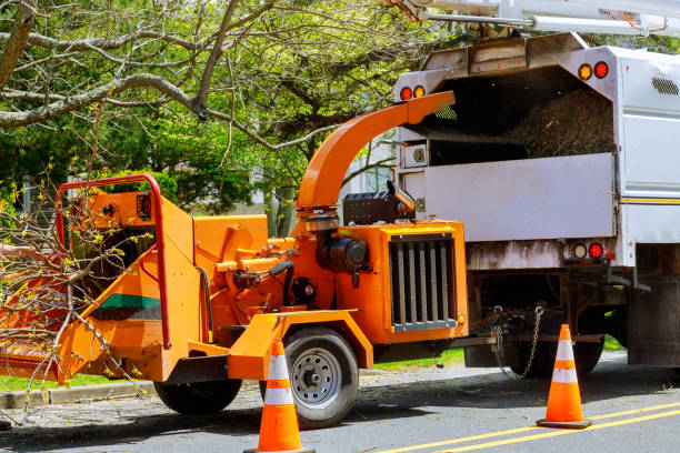  Sand Point, AK Tree Services Pros