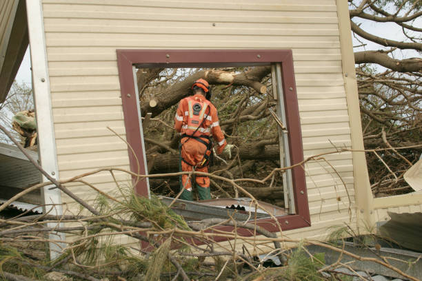 Professional Tree Services in Sand Point, AK